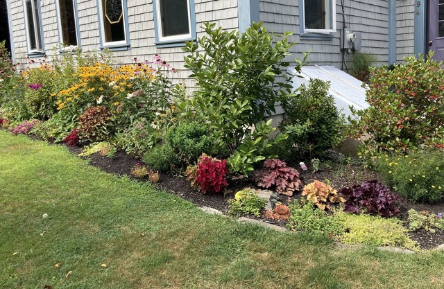 Family/Pet Friendly Apartment, 5 minute walk to Harbor