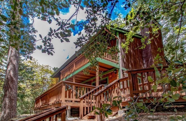 Family Treehouse: Perfect Location * A/C * Fire Pit* Dogs * WiFi