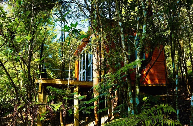 Fantail Bush Chalet, bush et golf à votre porte!