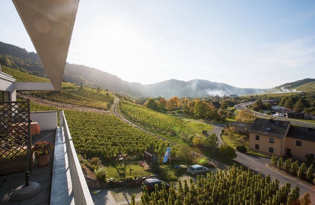Fantastique vue Mosel de l'appartement "Pinot Noir Cabinet", Cochem