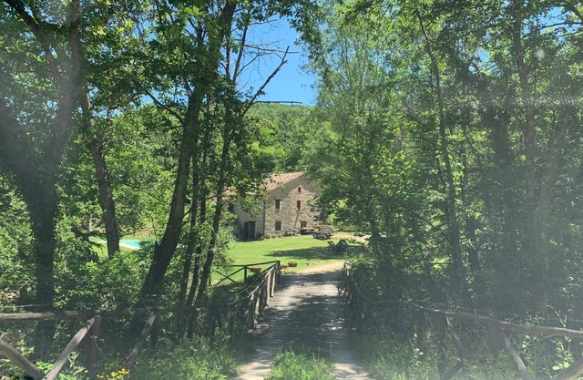 Ferme entourée de bois