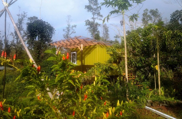 Faris' Farm