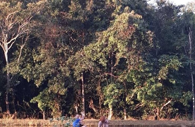 ..Farm Marias Farm ..