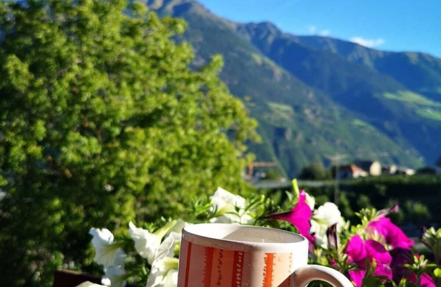 Farm with small animals, petting zoo, trial riding, beautifully situated.