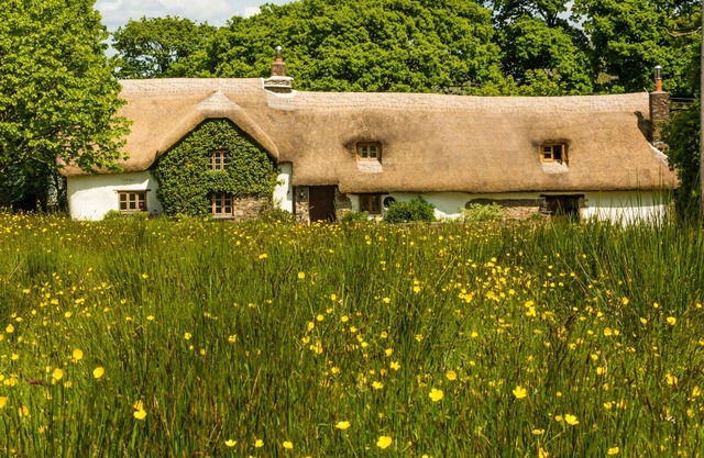 Farmhouse Cottage - C12th Thatched Cottage