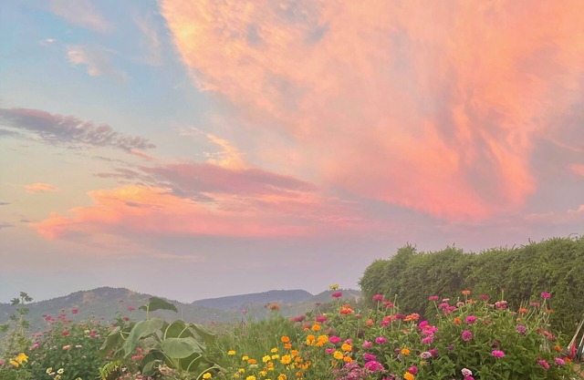 Farmhouse Retreat with Breathtaking Views of Mt. St. Helena – Perfect for Groups