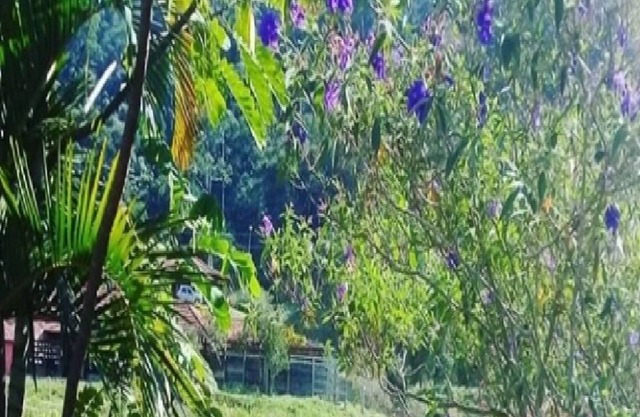 Fazenda Boa Sorte Ample space for leisure for families and groupsViva o verde