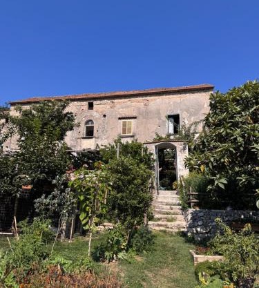 Felicia's Country House