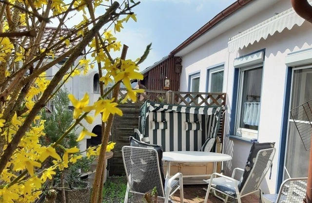 Maison de vacances (60m2) avec terrasse incl. Chaise de plage et barbecue