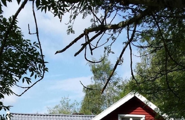 Ferienhaus für 6 Gäste mit 80m² in Mölltorp