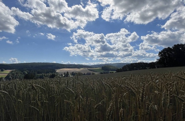 Ferienhaus "tor zum Erzgebirge", Urlaub im Vogtland,erzgebirge und Westsachsen