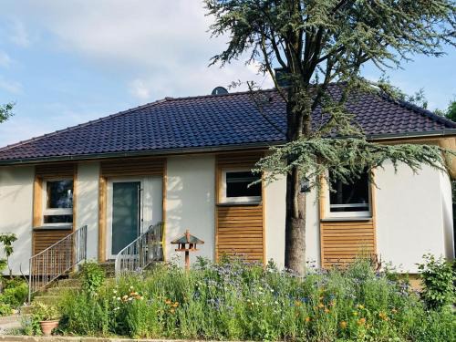 Ferienhaus Urwald