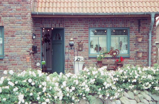 Ferienhaus Wattenhus