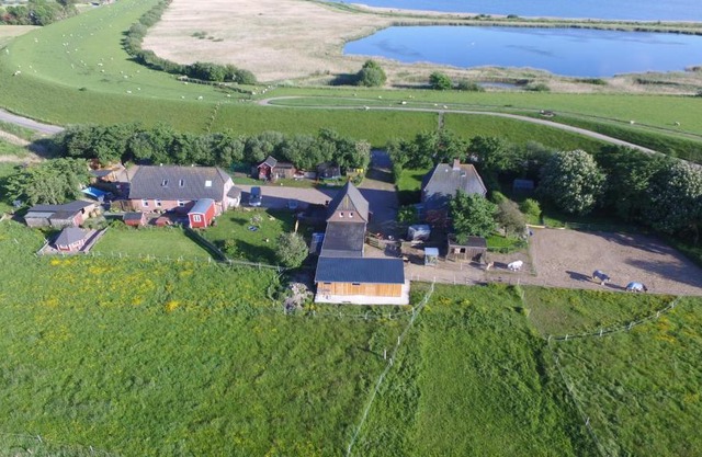 Ferienhof und Reittherapie Deichwind - Nordfriesland - 2 Häuser