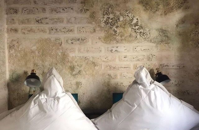 Ferienwohnung auf der Haardt