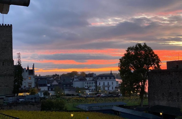 Ferienwohnung „Die 3 am Rhein“