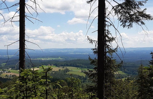 Ferienwohnung Fichtelgebirge, Oberfranken, Urlaub, Erholung , Bernsteinglück