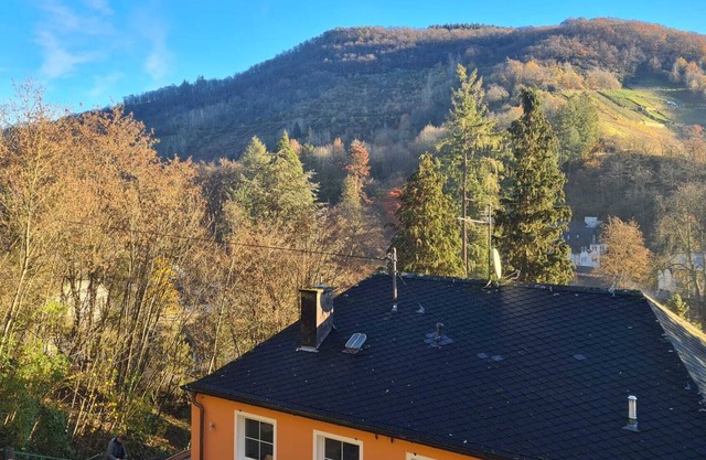 Ferienwohnung in Herrlicher Lage Nähe Moseltherme Traben-trarbach an der Mosel
