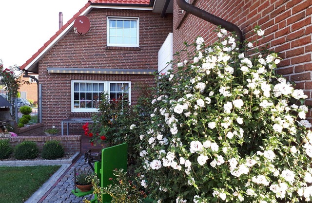Appartement Margarete - Appartement Groenewold