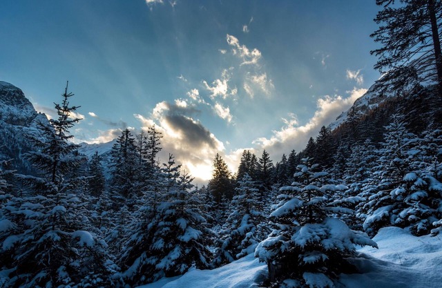 Ferienwohnung Strickner