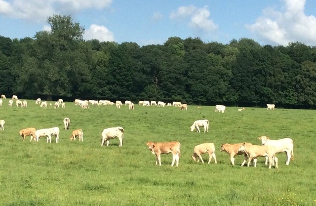 Ferme de Sorval – Vivez la magie de la campagne des Hauts-de-France