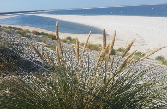 FeWo Nero Résidence de vacances confortable