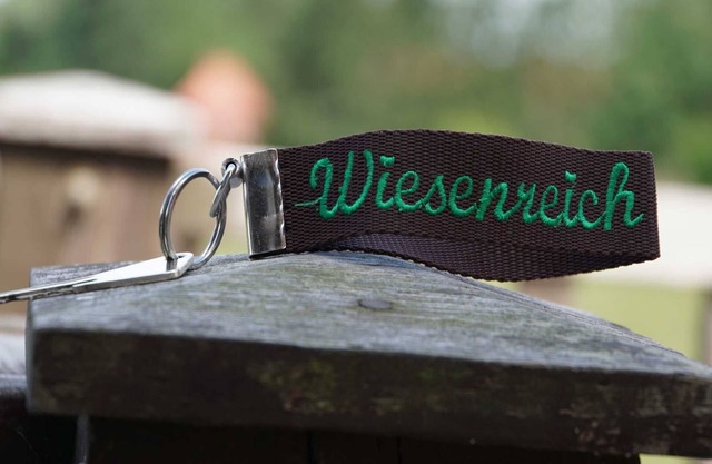 Fewo Wiesenreich - Sophienhof Nouveau Heinde