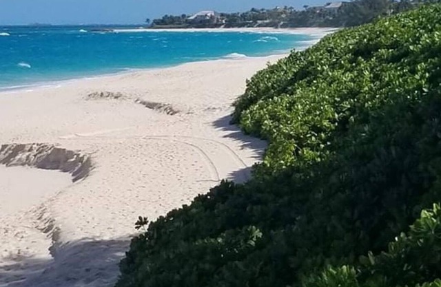 Finally Paradise Island at Down to Earth Pricing!