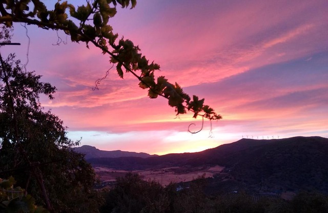 Finca La Piedra Holidays