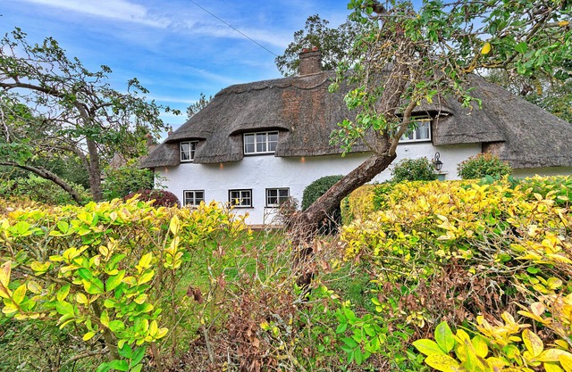 Chocolate Box Cottage