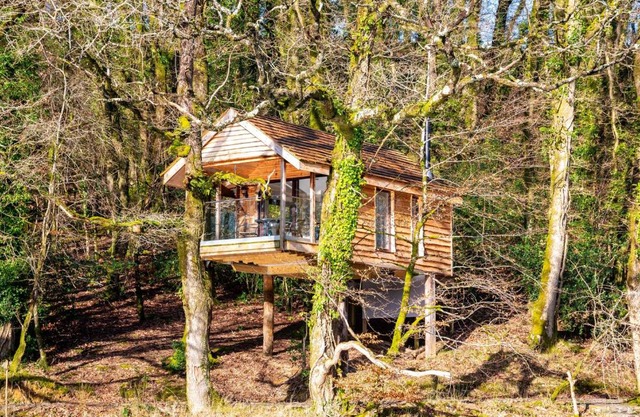 Finest Retreats - The Tree House - Eco-Friendly, Back to Nature Experience