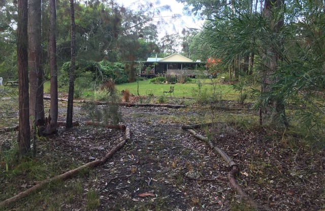 Ferme Fingal, animaux domestiques, Bulahdelah, Myall Lakes, plage