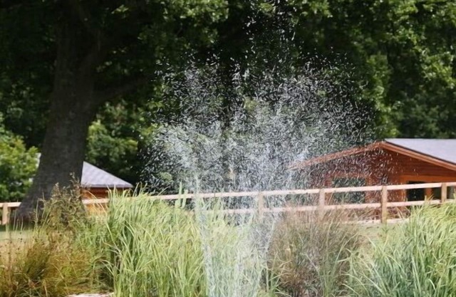 Fingle Glen Hotel