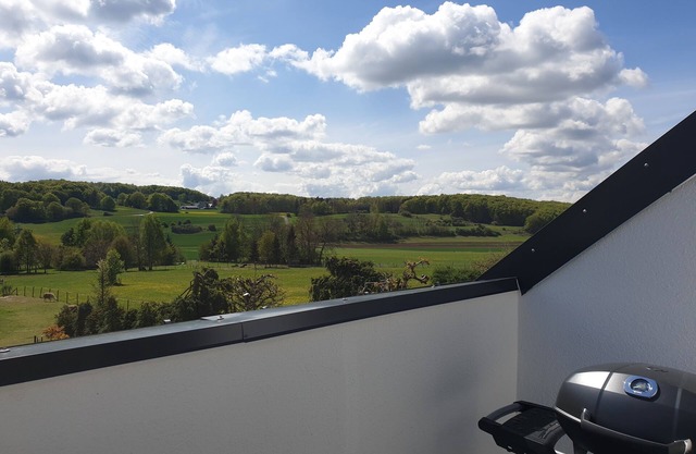 Sauna infrarouge, vue, Eifel