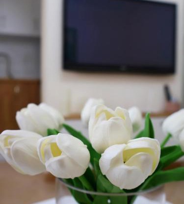 Fiora Apartment