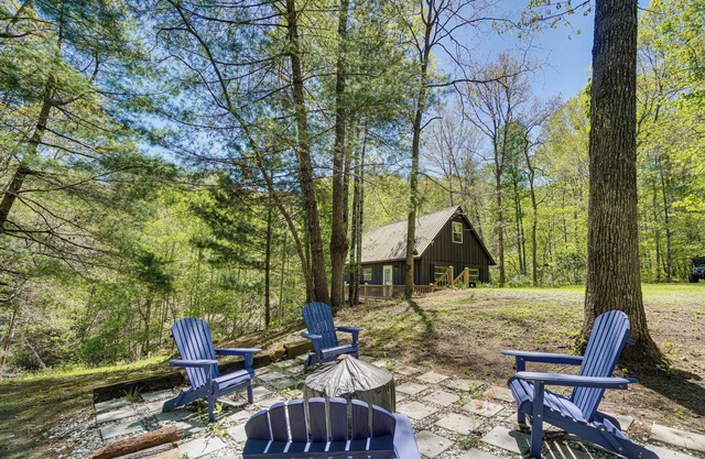Charming Murphy Cabin w/ Fire Pits & Resort Perks!