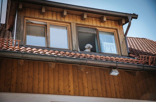 Fischerei Mastaller-Gastl - Appartement Dietz