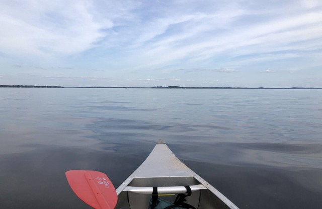 Camp de poissons sur Shamrock Cove (Toledo Bend) Milam, TX