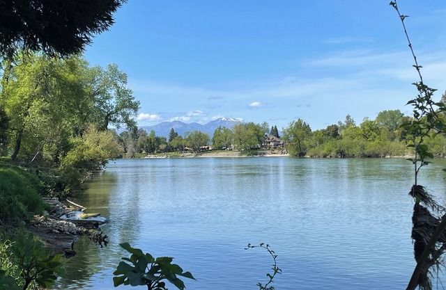 Poisson sur la rivière Sacramento!