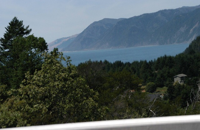Bluebird of the Lost Coast - animaux de compagnie et vue sur la côte nord de l'océan