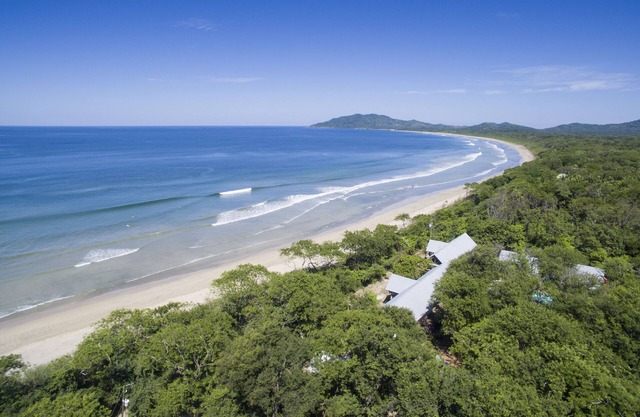 Cinq chalets, piscine et commodités au milieu d'une forêt en bord de mer.