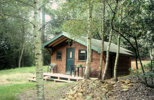 Five Pines - chalet boisé paisible et isolé à Surrey Hills