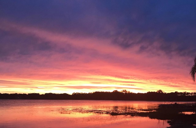 Superbe lac / oasis au bord de l'eau - près de Tampa / Orlando et des plages du golfe