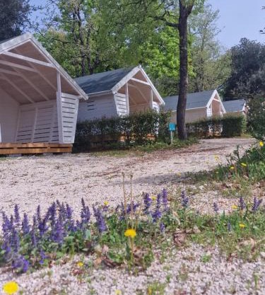 Fkk Adriatika in FKK Solaris Naturist Resort
