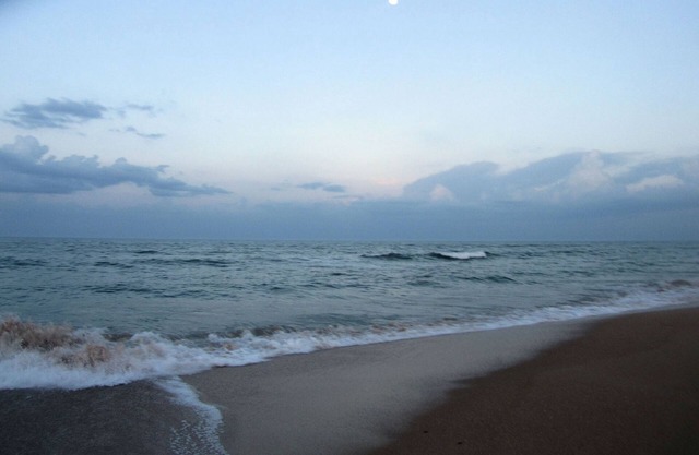 Flagler Beach Condo en bord de mer récemment rénové