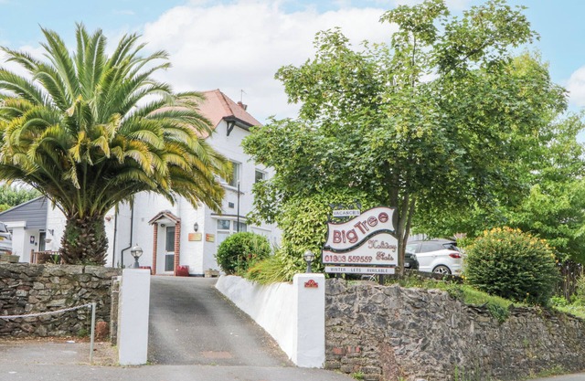 FLAT 1A, BIG TREE HOLIDAY FLATS, family friendly in Paignton