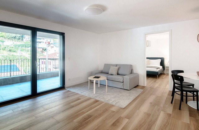 Appartement avec vue sur le vignoble près de Bellinzona (GRAPPOLI 28)