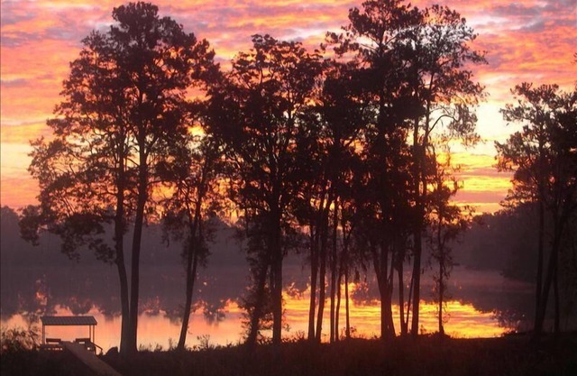 Florida Log Cabin Lakefront