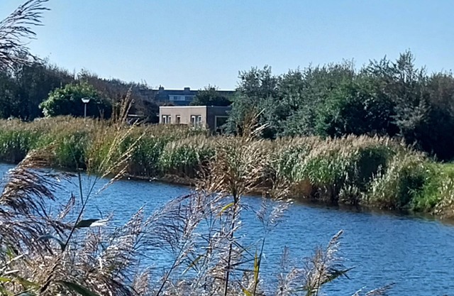 Petten près de la plage, 2 personnes, toutes les pièces au rez-de-chaussée, vue dégagée
