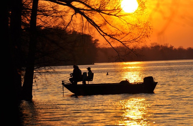 Pour les grands groupes (jusqu'à 25) Juste à Reelfoot Lake - quai privé et Pier